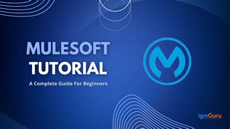 MuleSoft Tutorials for beginners 2021 .